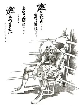 我已經燃燒殆盡了