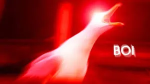 Inhaling Seagull