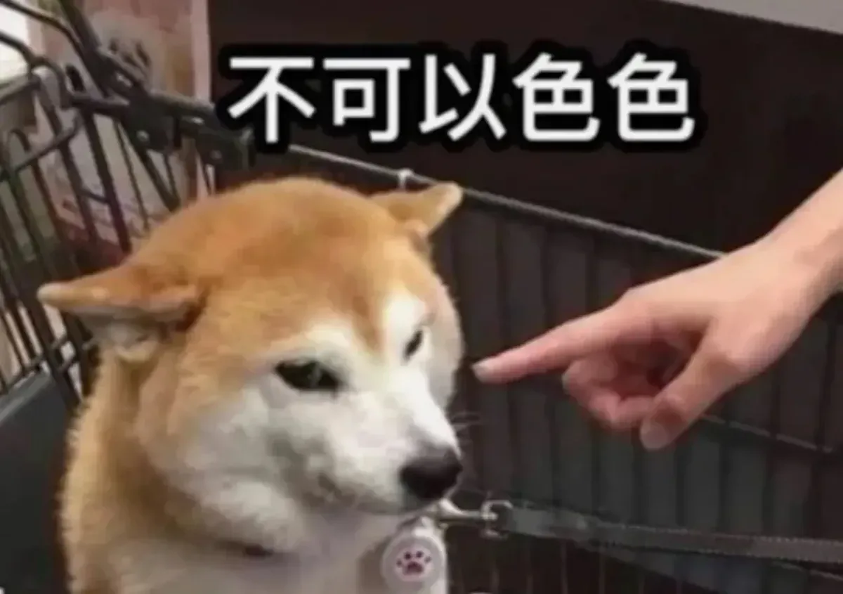 不可以色色
