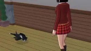 霹靂舞小貓