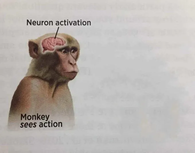 神經元激活