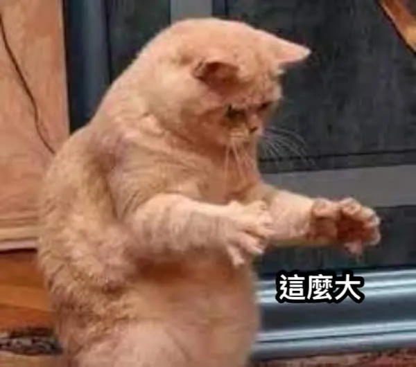 那麼大