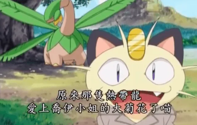 喬伊小姐的大菊花