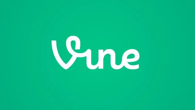 Vine