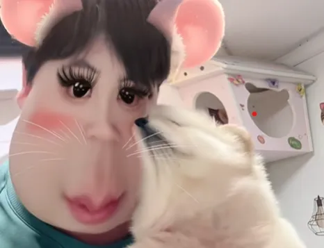 小不點是隻貓